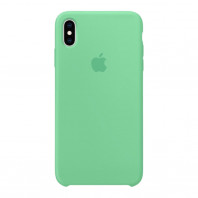 Чехол LUX Silicone Case для Iphone Xs Spearmint