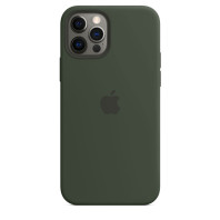 Чехол LUX Silicone Case with MagSafe для iPhone 12 Pro Max Cyprus green 