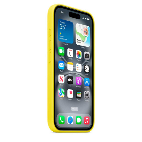Чехол LUX Silicone Case на iPhone 16 Plus Star Fruit with MagSafe